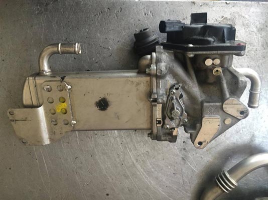 VOLKSWAGEN TRANSPORTER T6 EGR SOĞUTUCUSU 03L131512BM (1)